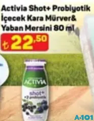 ACTİVİA SHOT+PROBİYOTİK İÇECEK KARA MÜRVER & YABAN MERSİNİ 80 ML ACTİVİA SHOT+PROBİYOTİK İÇECEK KARA MÜRVER & YABAN MERSİNİ 80 ML